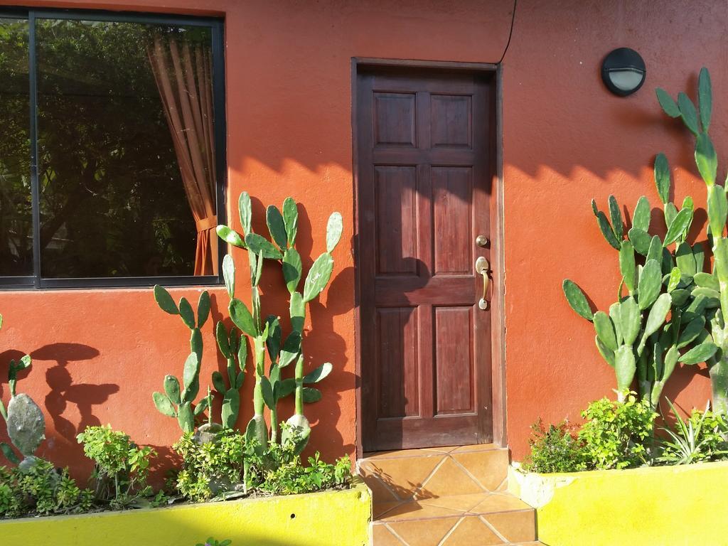 Hotel Cabinas Mar Y Cielo Montezuma Szoba fotó