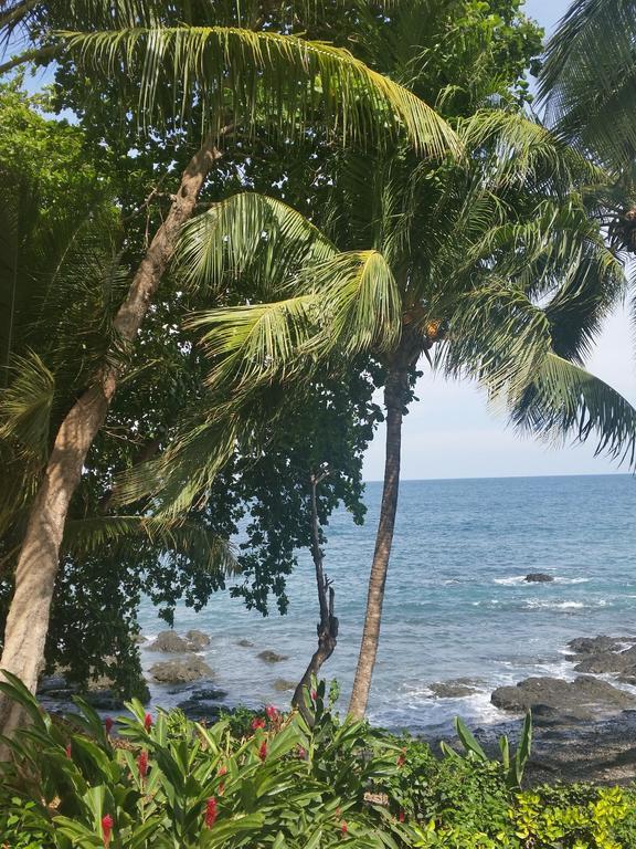 Hotel Cabinas Mar Y Cielo Montezuma Kültér fotó